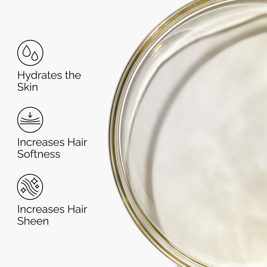 100-organic-cold-pressed-moroccan-argan-oil-n5 FY25-D41247-ORD-Web-PDP-100-Argan-Oil-1x1-EN-3.jpg