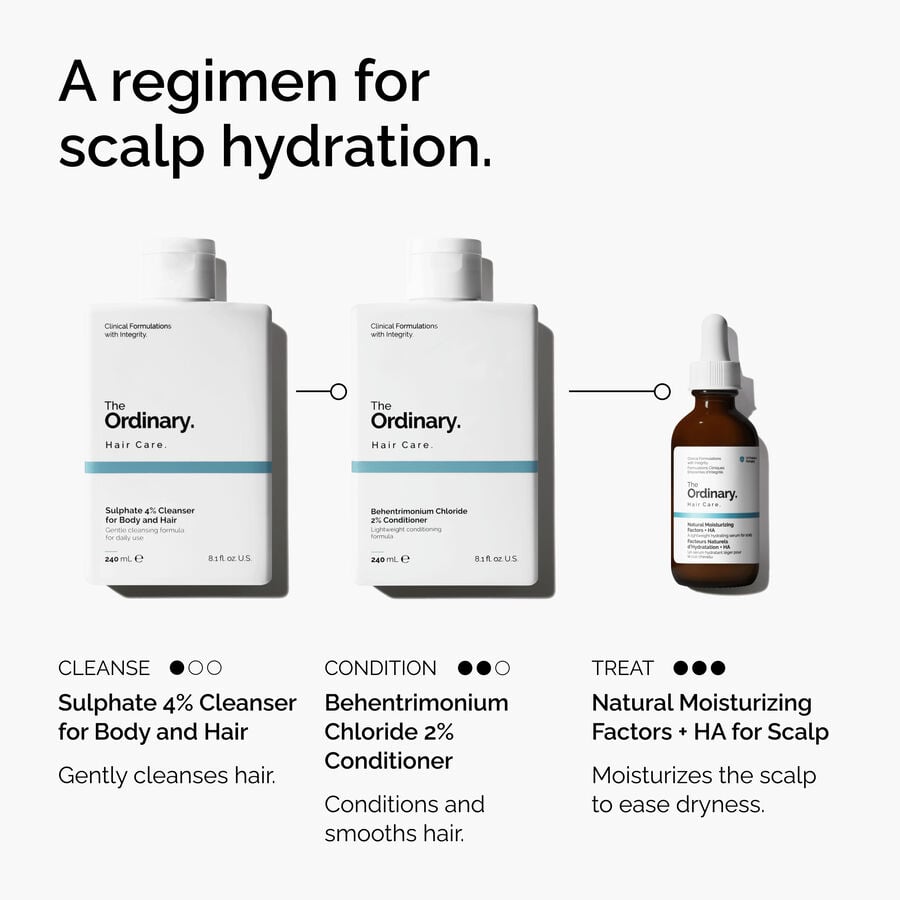 natural-moisturizing-factors-ha-for-scalp-h4 FY25-D41247-ORD-Web-PDP-NMF-HA-Scalp-1x1-EN-5.jpg