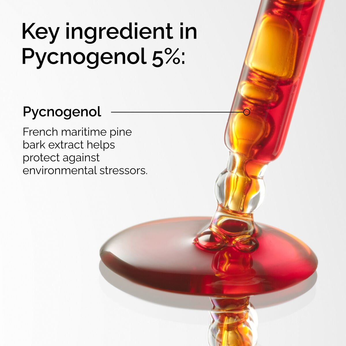 pycnogenol-5-f4 FY25-D41247-ORD-Web-PDP-Pyc-5pct-1x1-EN-2a.jpg