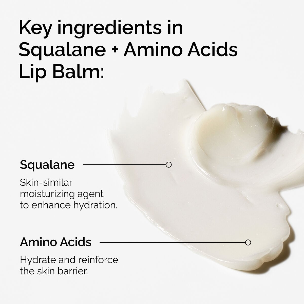 squalane-amino-acids-lip-balm-b8 FY25-D41247-ORD-Web-PDP-Sql-Amino-Lip-1x1-EN-2a.jpg